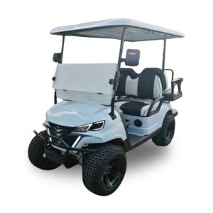 Cloud Surfer (Light Grey Model)