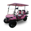 Coral Cruiser (Pink Model)