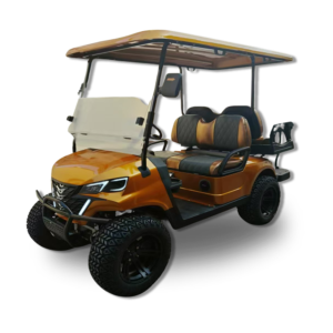 Sunset Cruiser (Gold Model)